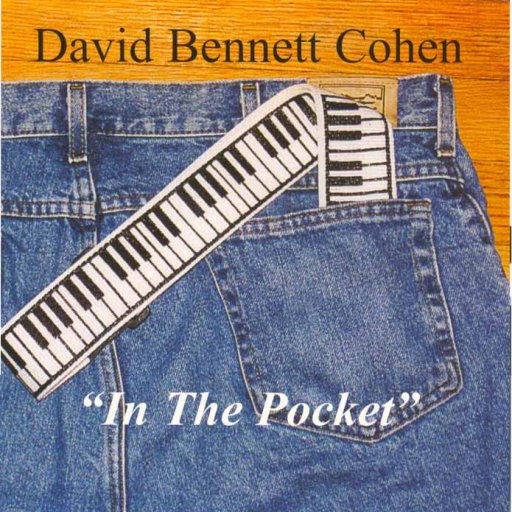 InThePocket_1_.CDCover
