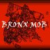 bronx2